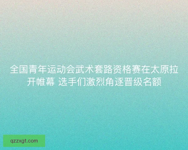 全国青年运动会武术套路资格赛在太原拉开帷幕 选手们激烈角逐晋级名额