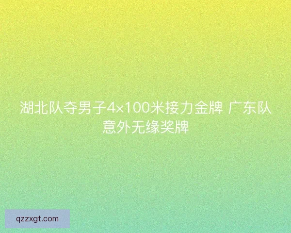 湖北队夺男子4×100米接力金牌 广东队意外无缘奖牌